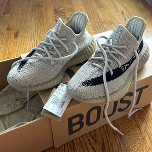 Yeezy boost 350 V2